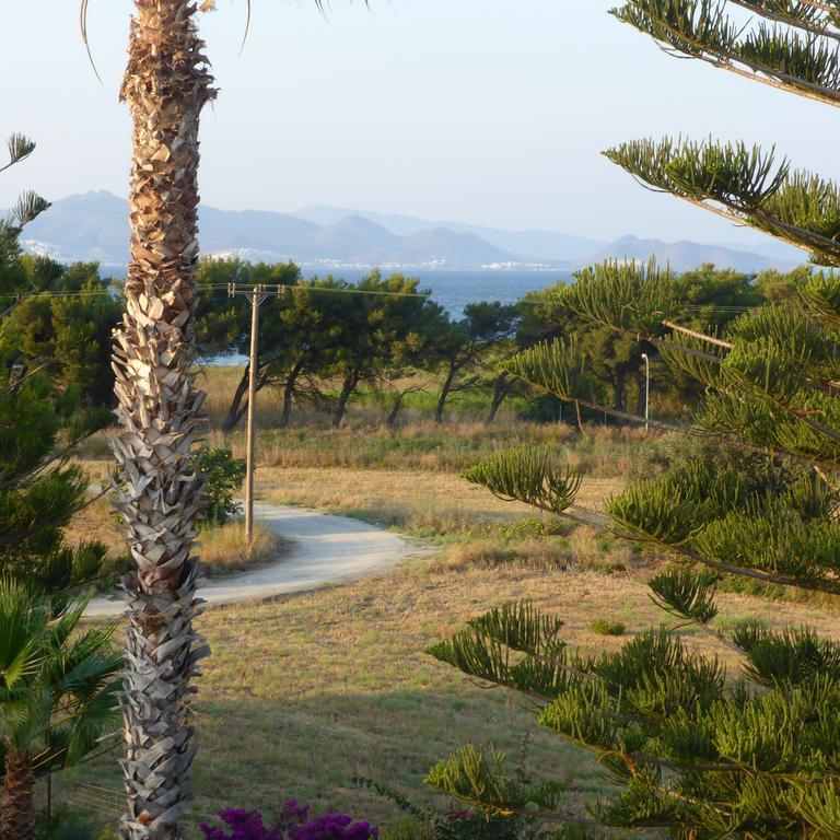 Blue Nest Hotel Tigaki 외부 사진